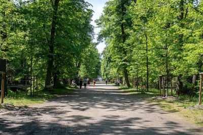 moszna-park