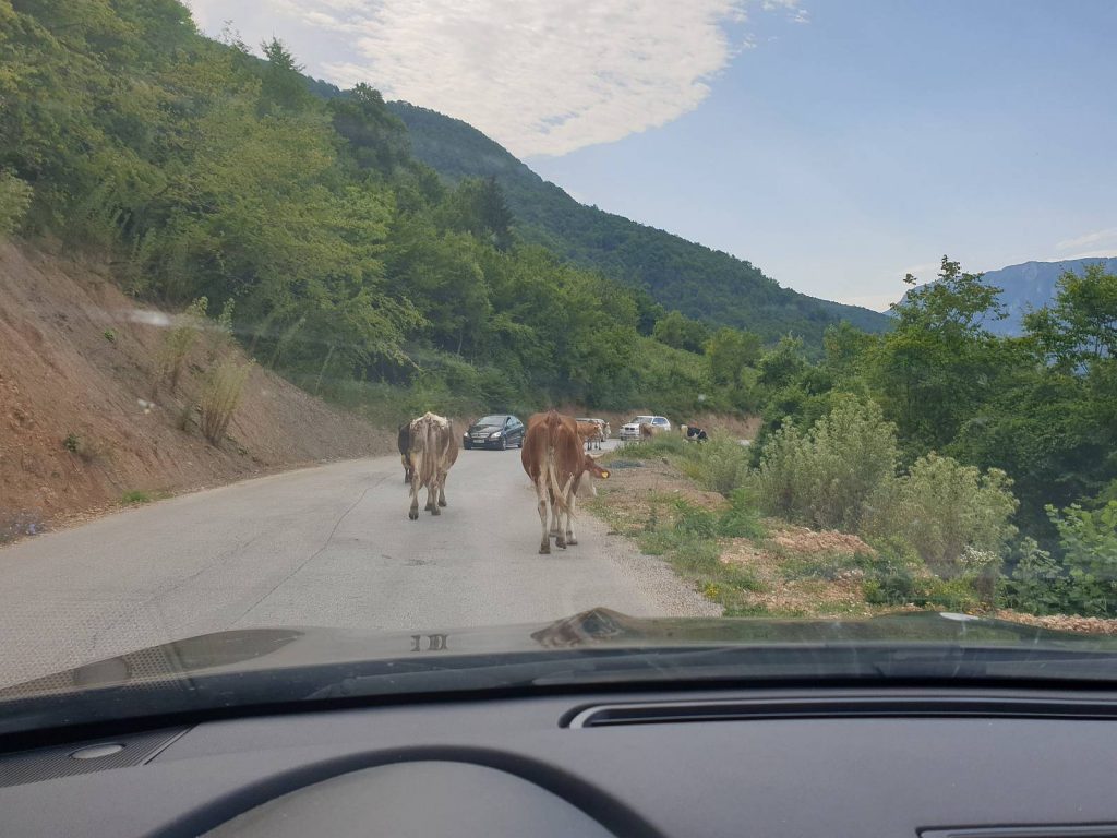 W drodze do Czarnogóry
